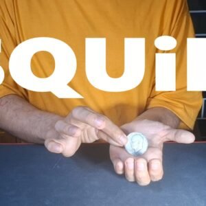 SQUID